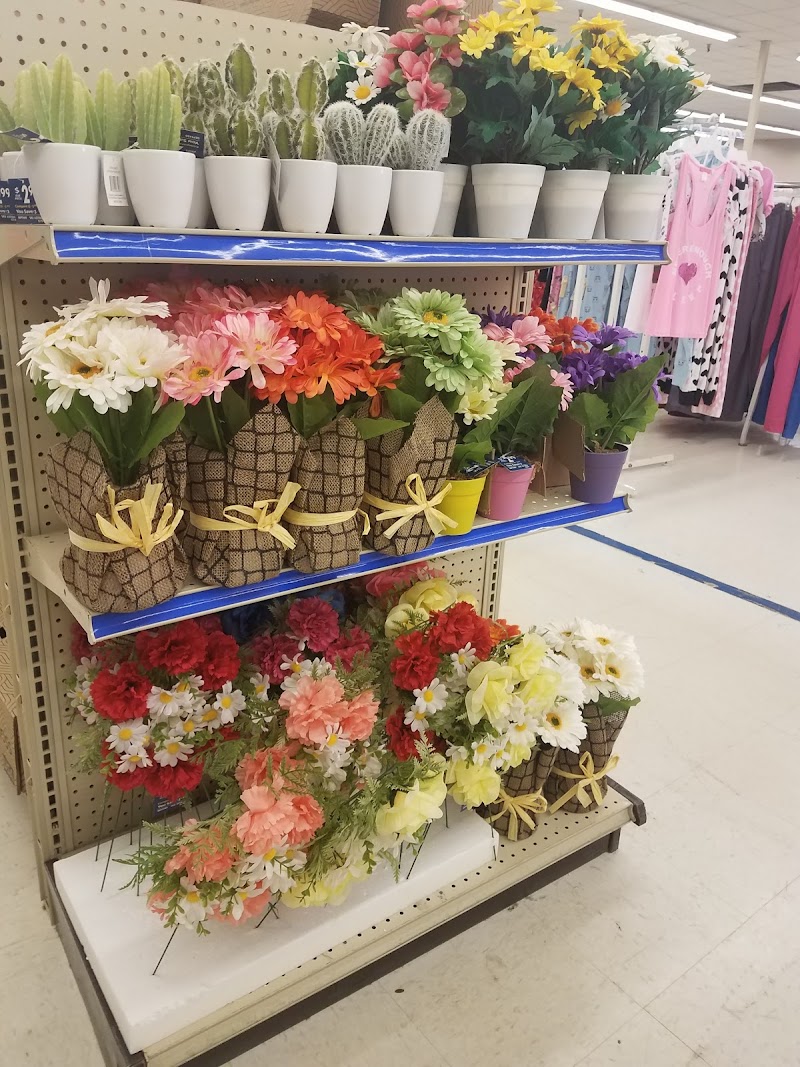 Roses Discount Store image 3